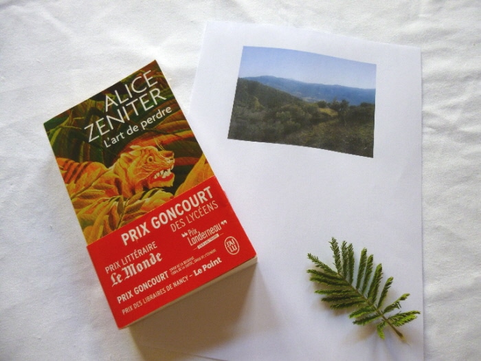 Le livre d'Alice Zaniter, à côté d'une photo de Kabylie et d'une branche verte.