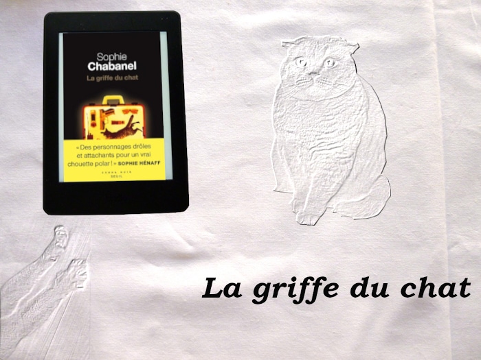 Chronique Du Livre De Sophie Chabanel La Griffe Du Chat De Quoi Lire