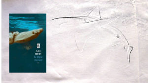 A l'arrière-plan, un requin, au premier plan, la couverture du livre d'Alice Ferney, Le règne du vivant