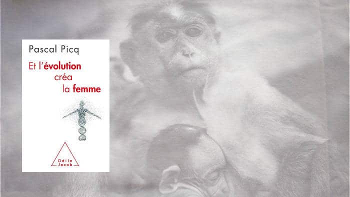Photos de singes et couverture du livre de Pascal Picq, Et l'évolution créa la femme
