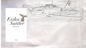 A l'arrière-plan, un avion de combat et au premier plan la couverture du livre de Hervé Bel, Erika Sattler