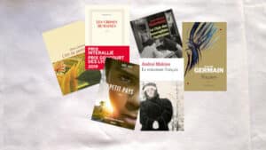 Couvertures de livres ayant remporté le prix Goncourt des lycéens