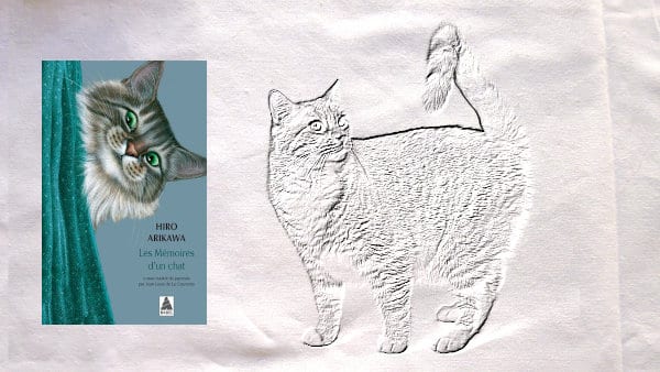 A l'arrière-plan, un chat avec une queue en forme de 7, au premier plan, la couverture du livre d'Hiro Arikawa, Les mémoires d'un chat