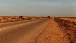Une route en Lybie