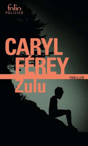 Couverture du livre de Caryl Ferey, Zulu