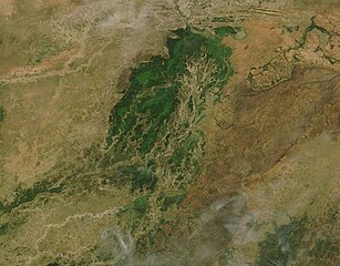 Vue satellite du Delta du Niger