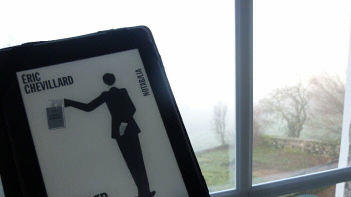 Devant une fenêtre, une liseuse avec la couverture du livre d'Eric Chevillard, Prosper à l'oeuvre.