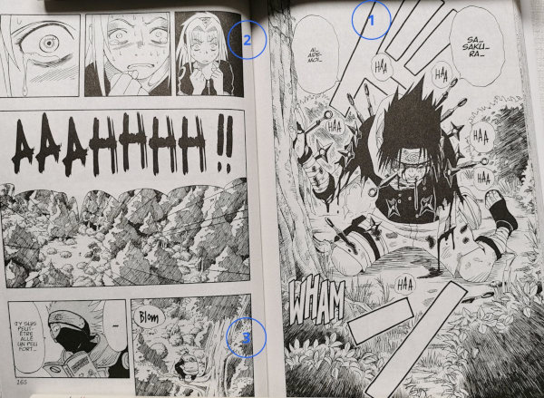 Vignette Naruto-tome-1