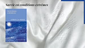 En arrière-plan, des flocones de neige, et au premier plan, la couverture du livre de Frédéric Abergel, Après la neige