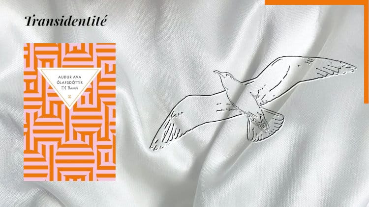 En arrière-plan, un goéland, et au premier plan, la couverture du livre de Auður Ava Ólafsdóttir, DJ Bambi