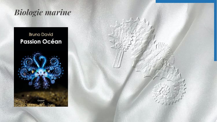 En arrière-plan, un hippocampe. Au premier plan la couverture du livre de Bruno David, Passion Océan