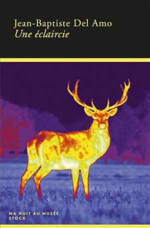 Couverture du livre de Jean-Baptiste des Amo, Une éclaircie