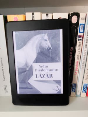 Une liseuse posée sur une étagère de bibliothèque. Elle est ouverte sur la couverture du livre de Nelio Biedermann, Làzàr